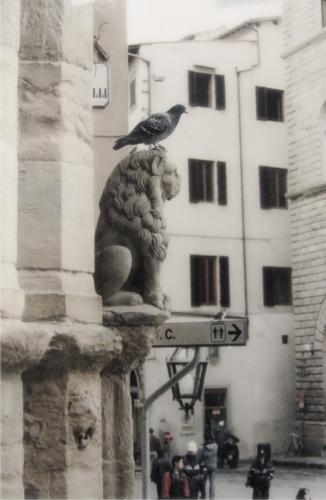 Fotografia de Daniel Sardo - Galeria Fotografica: Blanco y Negro - Foto: Rumbo a seguir