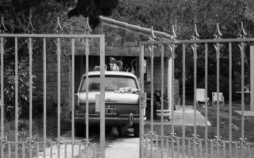 Fotografia de Daniel Sardo - Galeria Fotografica: Blanco y Negro - Foto: El leon y sus crias