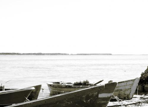 Fotografia de Daniel Sardo - Galeria Fotografica: Blanco y Negro - Foto: Botes