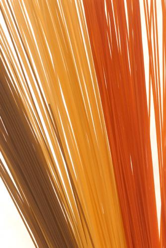 Fotografia de utopiadigital - Galeria Fotografica: bodegones - Foto: naturaleza muerta