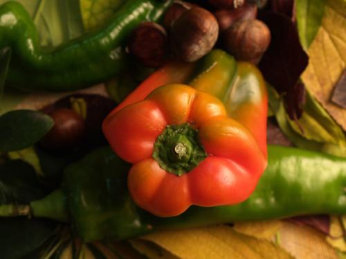 Fotografia de utopiadigital - Galeria Fotografica: bodegones - Foto: naturaleza muerta