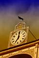 Fotos de Valentn -  Foto: Tauromaquia - Reloj de Las Ventas								