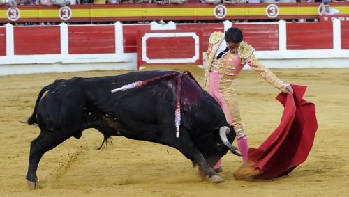 Fotografia de Valentn - Galeria Fotografica: Tauromaquia - Foto: 		Ambel Posada						