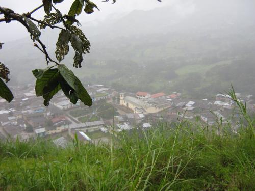 Fotografia de Armand - Galeria Fotografica: Viajes - Foto: Tras las hojas								