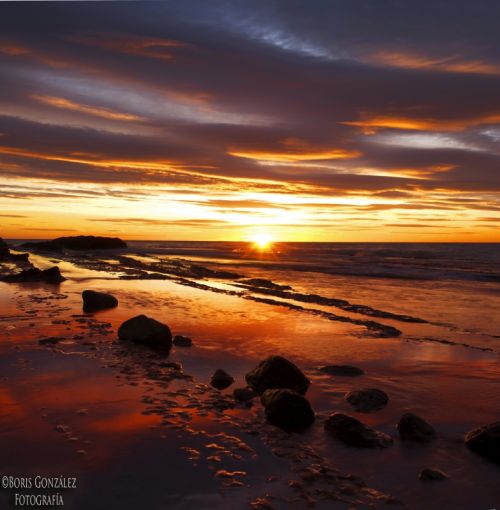 Fotografia de Fotografa Boris Gonzalez - Galeria Fotografica: Cabo Total. - Foto: La fuga.
