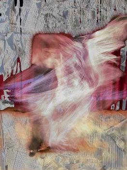 Fotografia de narigan - Galeria Fotografica: baile - Foto: baile1