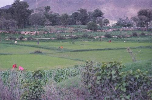 Fotografia de Pau - Galeria Fotografica: India - Foto: 