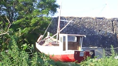 Fotografia de eljolu - Galeria Fotografica: No te pierdes de nada. - Foto: Barca comida por las plantas.