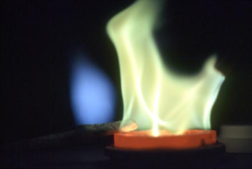 Fotografia de Fornesfoto - Galeria Fotografica: Dosier de empresa - Foto: 