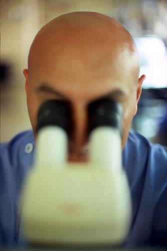 Fotografia de Fornesfoto - Galeria Fotografica: Dosier de empresa - Foto: 