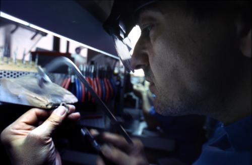 Fotografia de Fornesfoto - Galeria Fotografica: Dosier de empresa - Foto: 