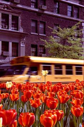 Fotografia de Fornesfoto - Galeria Fotografica: Trabajo de arquitectura - Foto: 