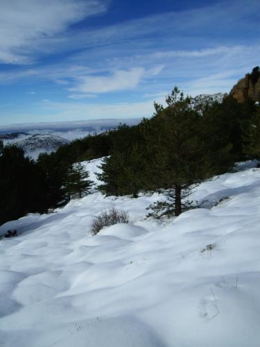 Fotografia de Andy - Galeria Fotografica: Sierra Nevada - Foto: Inclinacin								