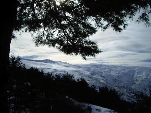 Fotografia de Andy - Galeria Fotografica: Sierra Nevada - Foto: oooo..								