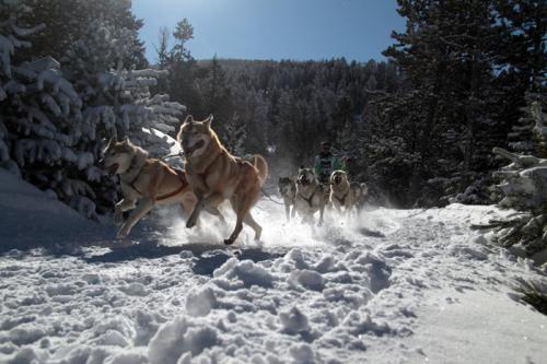 Fotografia de MILLER - Galeria Fotografica: PIRENA 2009 - Foto: VELOCES							