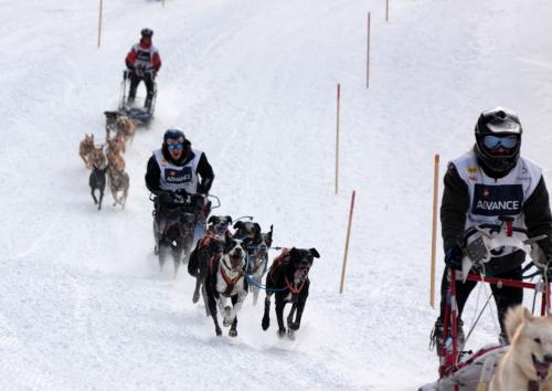 Fotografia de MILLER - Galeria Fotografica: PIRENA 2009 - Foto: MUCHO TRFICO								