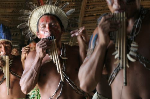 Fotografia de digifoto - Galeria Fotografica: Manaos - Brasil - Foto: 