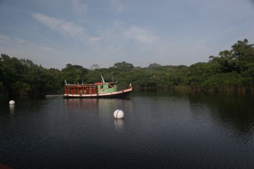 Fotografia de digifoto - Galeria Fotografica: Manaos - Brasil - Foto: 