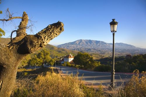 Fotografia de Daniel Luque - Galeria Fotografica: Galeria Danieluque - Foto: 