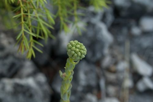 Fotografia de berni - Galeria Fotografica: mareo - Foto: 