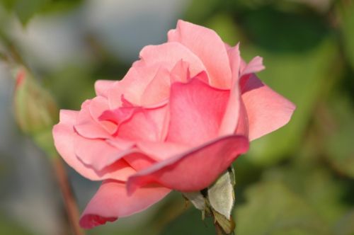 Fotografia de berni - Galeria Fotografica: mareo - Foto: 