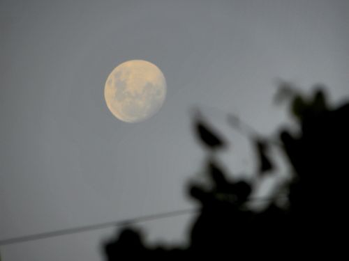 Fotografia de FerGaroni - Galeria Fotografica: Empezando en esto. - Foto: Cae la noche.