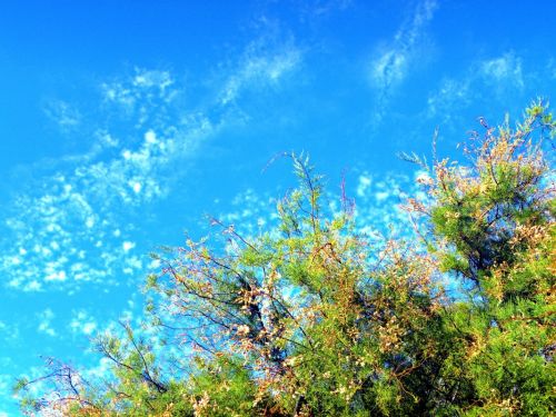 Fotografia de FerGaroni - Galeria Fotografica: Empezando en esto. - Foto: Tarde de verano.