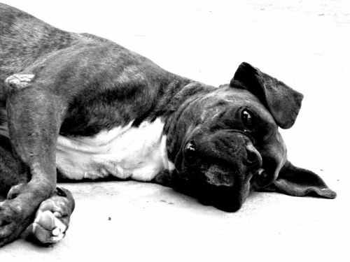 Fotografia de FerGaroni - Galeria Fotografica: Empezando en esto. - Foto: Fiaca.