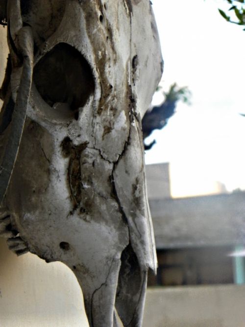 Fotografia de FerGaroni - Galeria Fotografica: Empezando en esto. - Foto: MUUUUerta.