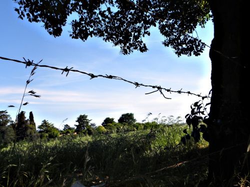 Fotografia de FerGaroni - Galeria Fotografica: Empezando en esto. - Foto: Puas.