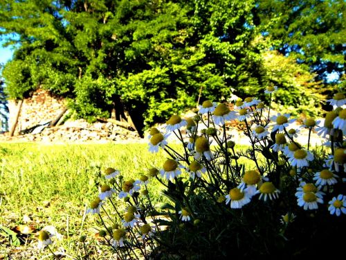 Fotografia de FerGaroni - Galeria Fotografica: Empezando en esto. - Foto: Comunes.