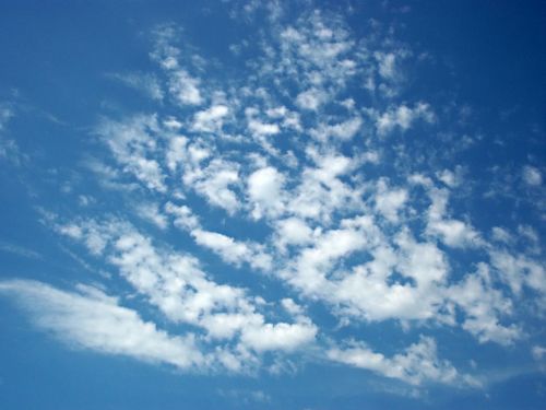 Fotografia de FerGaroni - Galeria Fotografica: Empezando en esto. - Foto: 