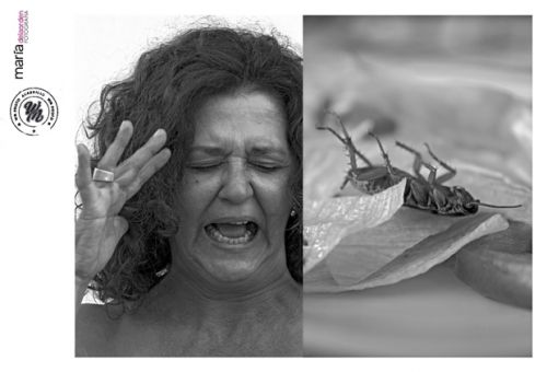 Fotografia de Mara de la Orden - Galeria Fotografica: Portfolio - Foto: 