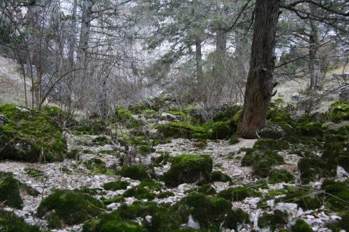 Fotografia de chencho - Galeria Fotografica: Paisajes - Foto: Rio verde