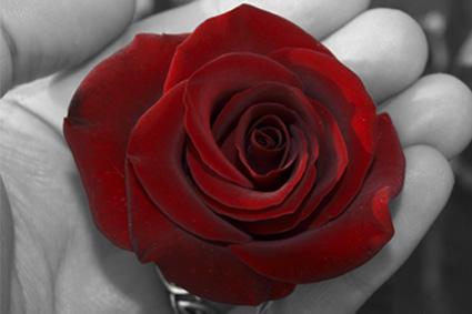 Fotografia de izaskun - Galeria Fotografica: De todo.. - Foto: 								