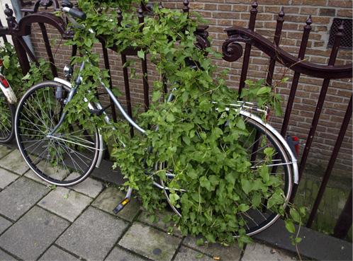 Fotografia de izaskun - Galeria Fotografica: De todo.. - Foto: 								