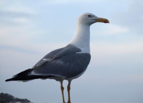 Fotografia de izaskun - Galeria Fotografica: De todo.. - Foto: 								