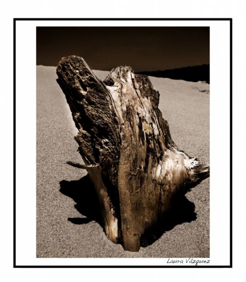 Fotografia de Laura Vazquez - Galeria Fotografica: Playas C�diz - Foto: 