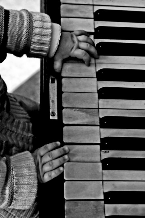 Fotografia de Laura Vazquez - Galeria Fotografica: Mis primeros retratos - Foto: 