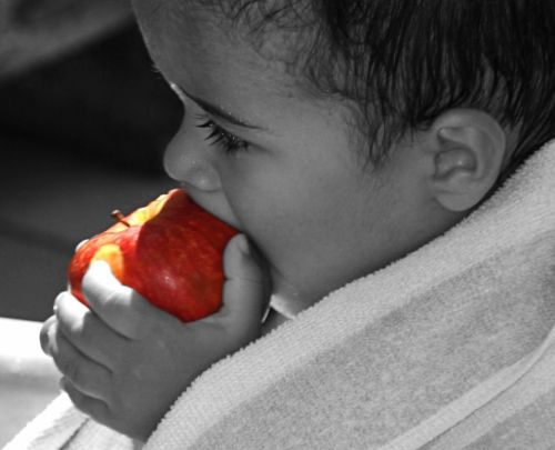 Fotografia de Laura Vazquez - Galeria Fotografica: Mis primeros retratos - Foto: 