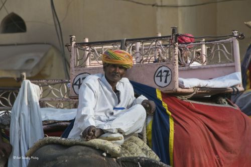 Fotografia de JOSANMU - Galeria Fotografica: MI VIAJE A LA INDIA Y NEPAL - Foto: 