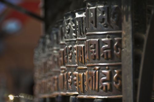 Fotografia de JOSANMU - Galeria Fotografica: MI VIAJE A LA INDIA Y NEPAL - Foto: 