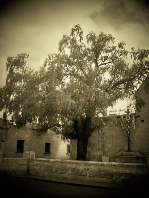 Fotografia de edwin - Galeria Fotografica: Primeras - Foto: 