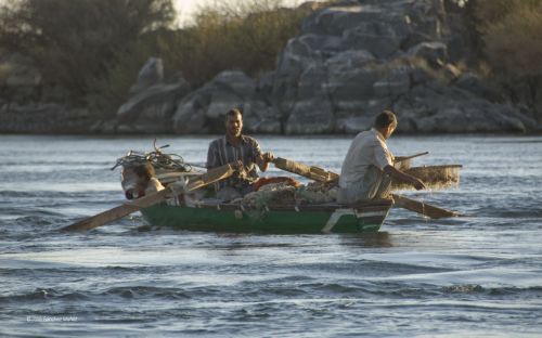 Fotografia de JOSANMU - Galeria Fotografica: EGIPTO - Foto: 