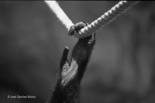 Fotografia de JOSANMU - Galeria Fotografica: BLANCO Y NEGRO - Foto: 