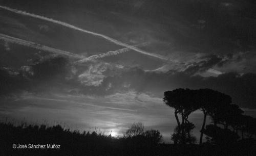 Fotografia de JOSANMU - Galeria Fotografica: BLANCO Y NEGRO - Foto: 