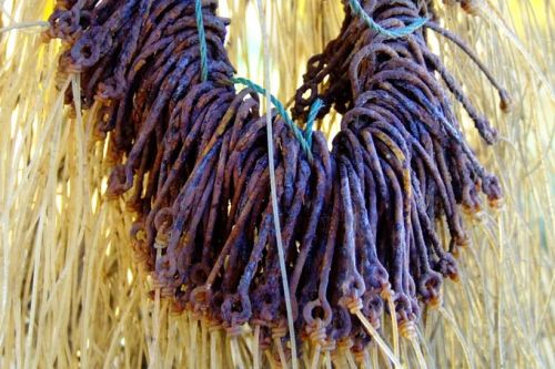 Fotografia de eMe O producciones - Galeria Fotografica: Espectculos - Foto: Pesca artesanal