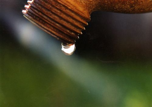 Fotografia de foto grafica - Galeria Fotografica: carnaval valparaiso - Foto: 