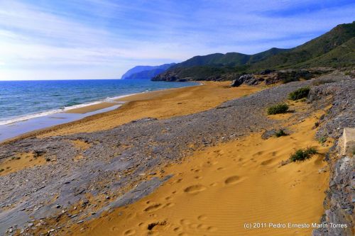 Fotografia de Pedro E. Marn Torres - Galeria Fotografica: Calblanque - Foto: 