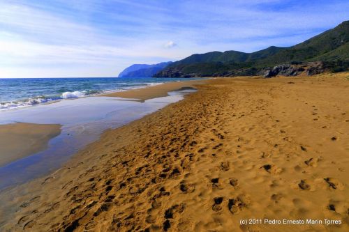 Fotografia de Pedro E. Marn Torres - Galeria Fotografica: Calblanque - Foto: 